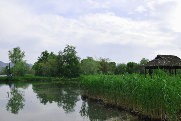 国家发展改革委新闻发言人就《国家发展改革委等部门关于加快招标投标领域人工智能推广应用的实施意见》答记者问