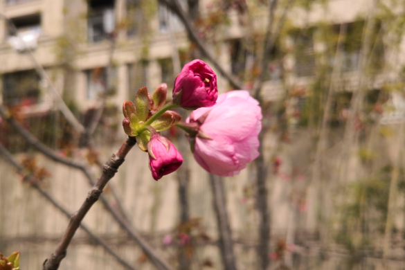 内蒙古局举办全区邮政管理系统党建纪检业务培训
