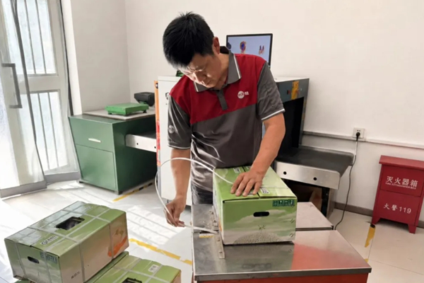 产地直发 链路优化 圆通助新疆伽师瓜鲜甜直达